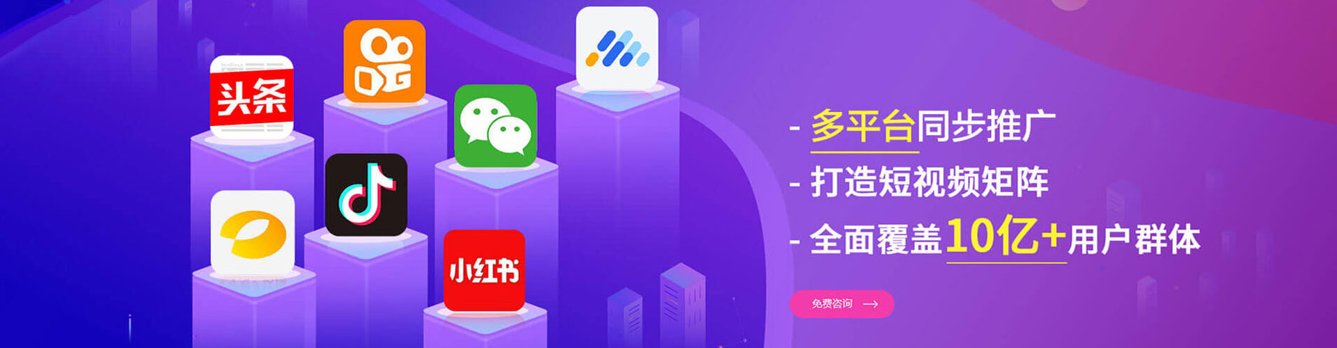 阳明信息流大师