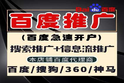 百度竞价广告运营的技巧与误区：成功案例解析